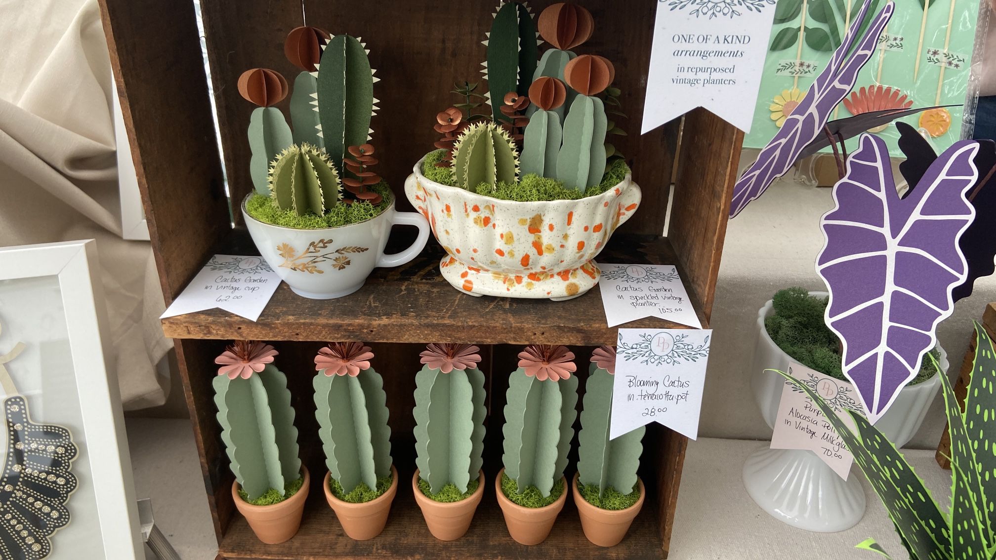 DIY Paper Cactus Kit
