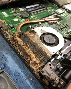 💻 Laptop Cleaning Service – Only $39.99! 💨