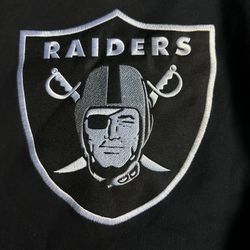 Kids Raiders Hoodie New 