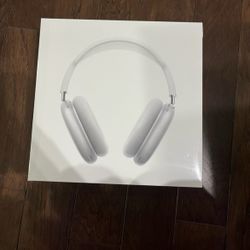 Apple Maxs Silver 