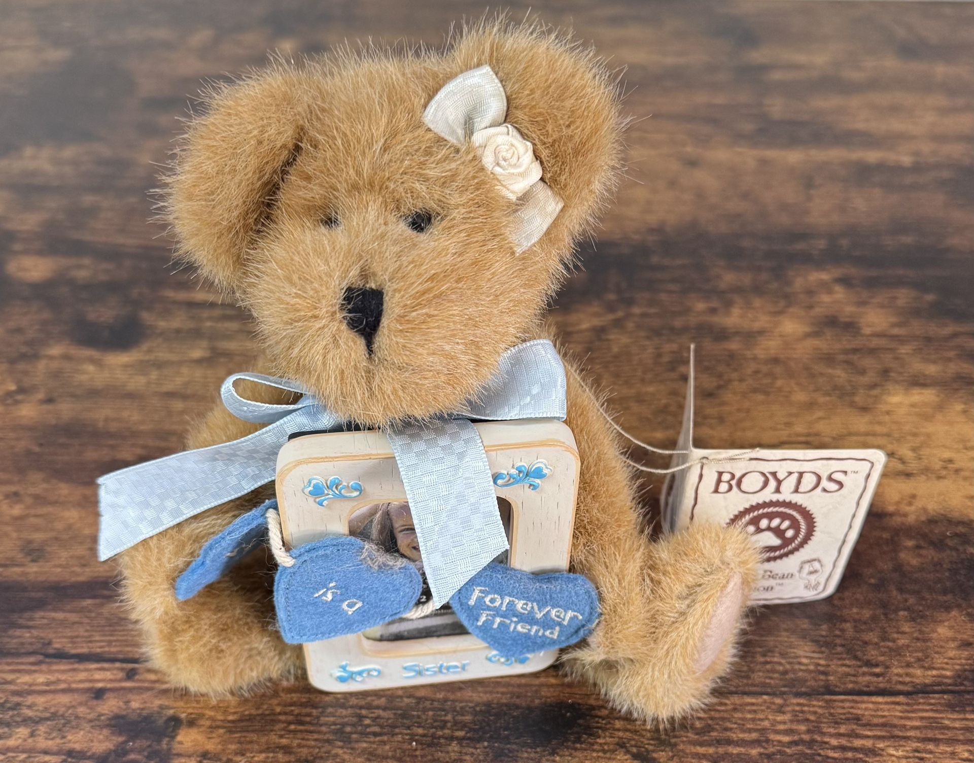 NEW w TAG BOYDS BEARS Carol N. Hugs Bear w Photo Frame Sister Gift just $5