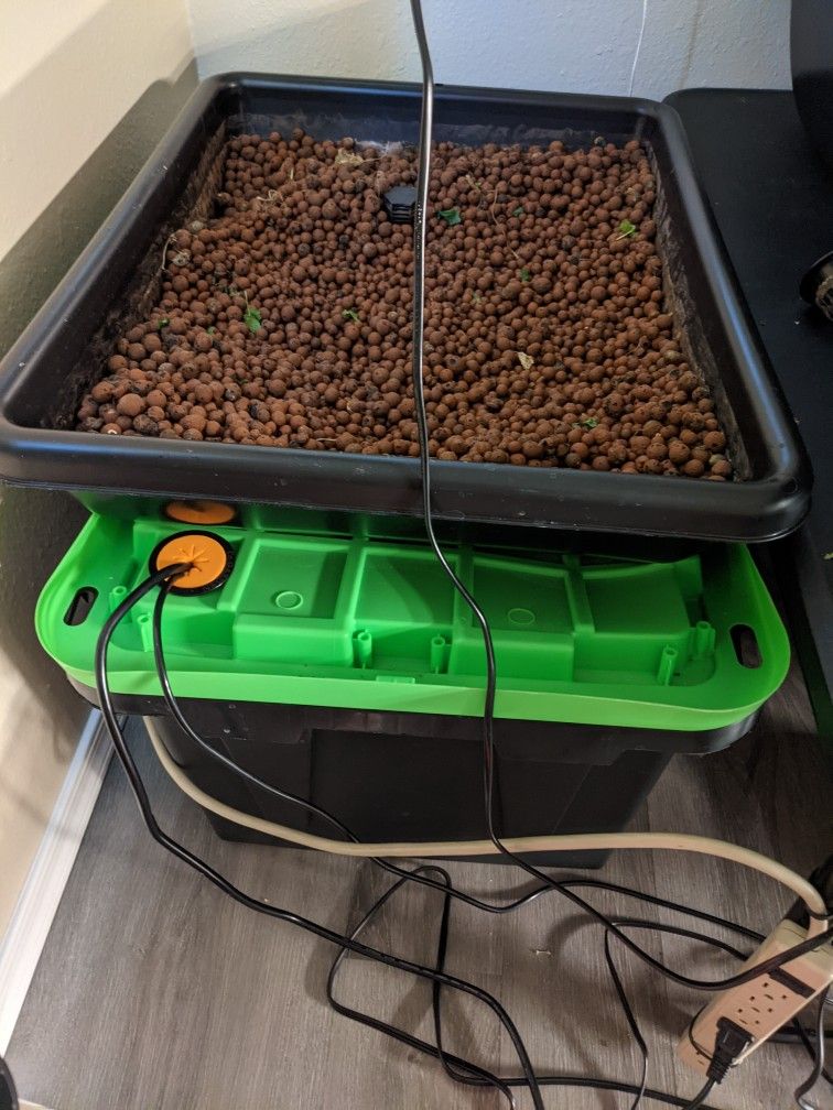 Compact Flood and Drain Hydroponic System