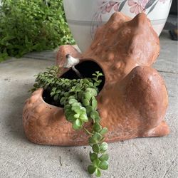 Clay frog with elephant bush plant
