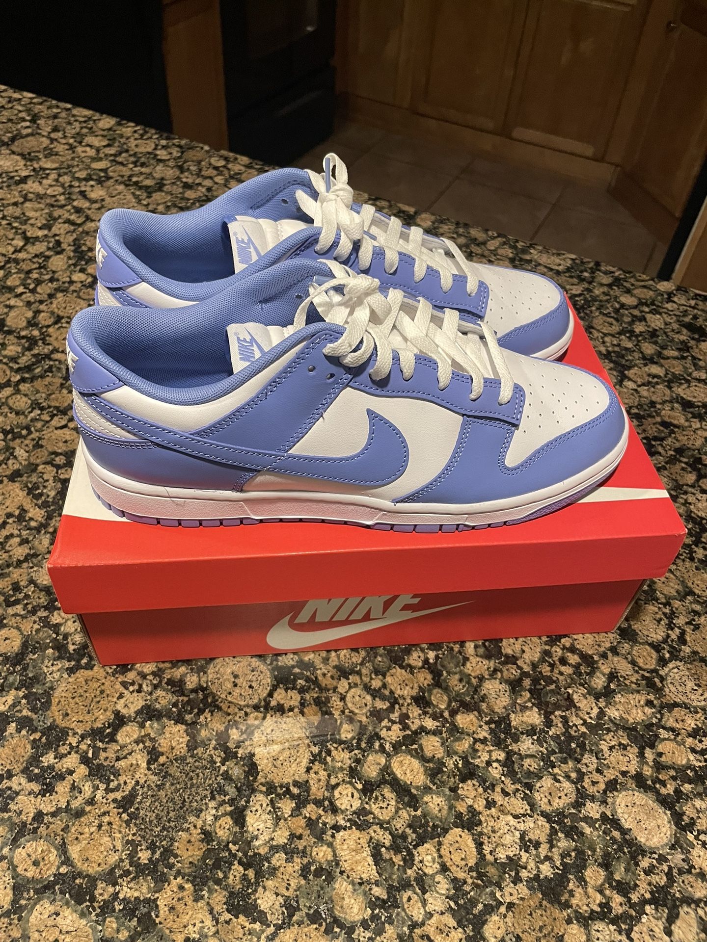 Nike Dunks Polar Blue