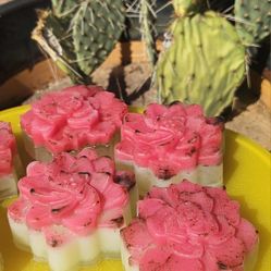 Prickly Pear and Aloe Face Wash