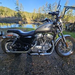 2009 Harley Davidson Sporster 883XL