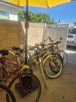 Bikes. Men And Women