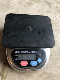 Digital scale