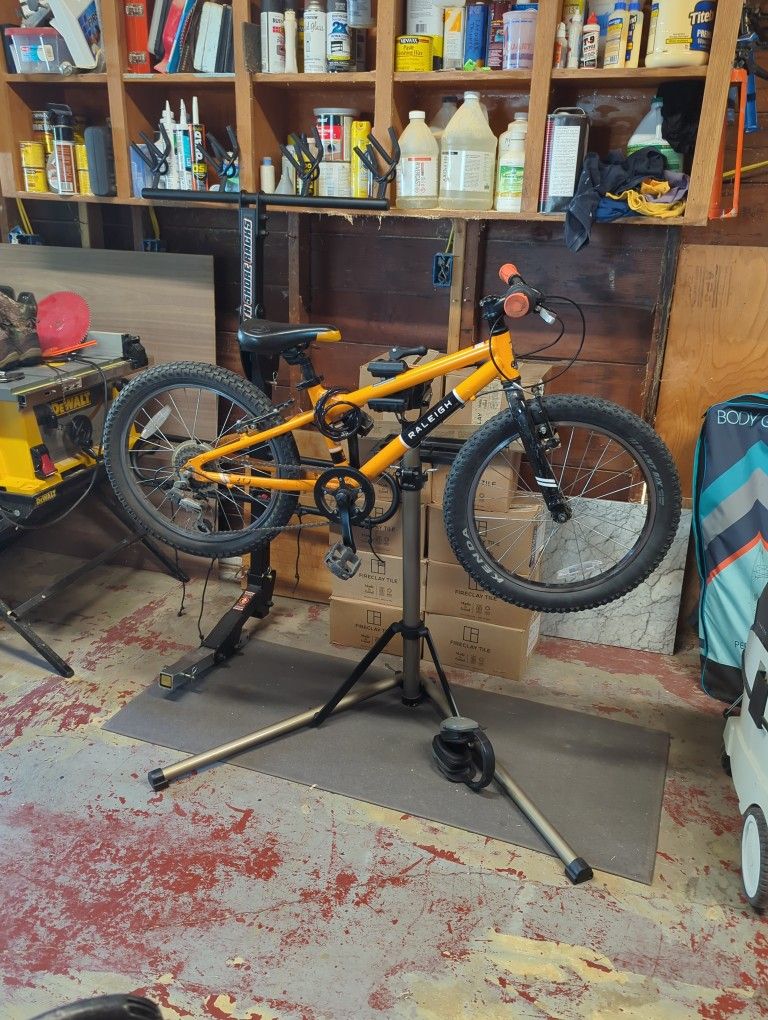 Raleigh Rowdy 20 20" Kids Mountain Bike