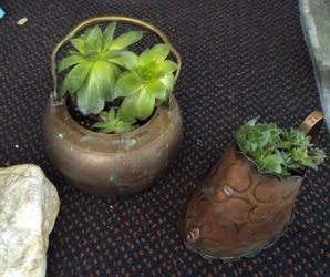 Purpose Breast Teapot Repurposed Copper Picture Only $20