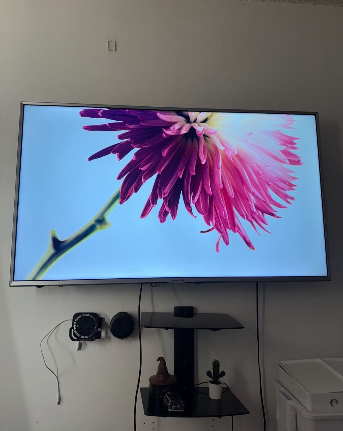 Sharp tv 4k Winth Xumo Streaming Box