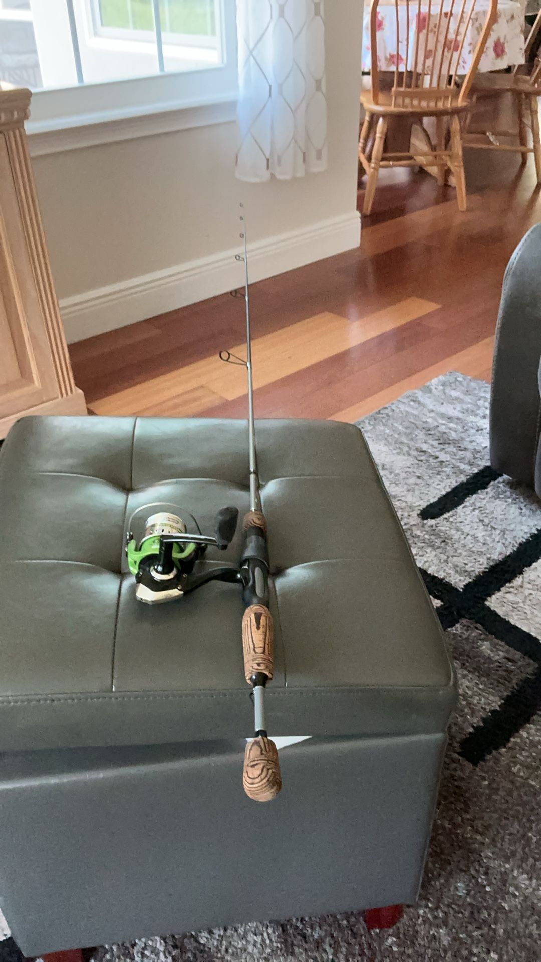 5 ft. 6 inch Rod,and Brand New Shakespeare Reel
