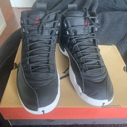 Jordan 12 Nylon