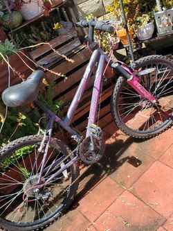 Adult Bike