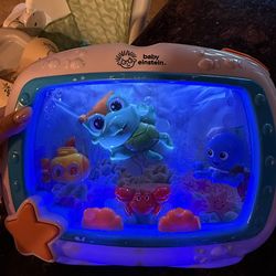 Bay Einstein aquarium