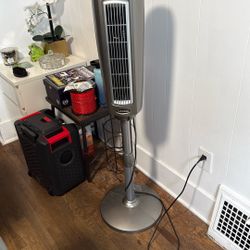Fan