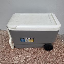 Igloo Cooler