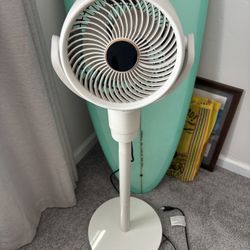 Fan