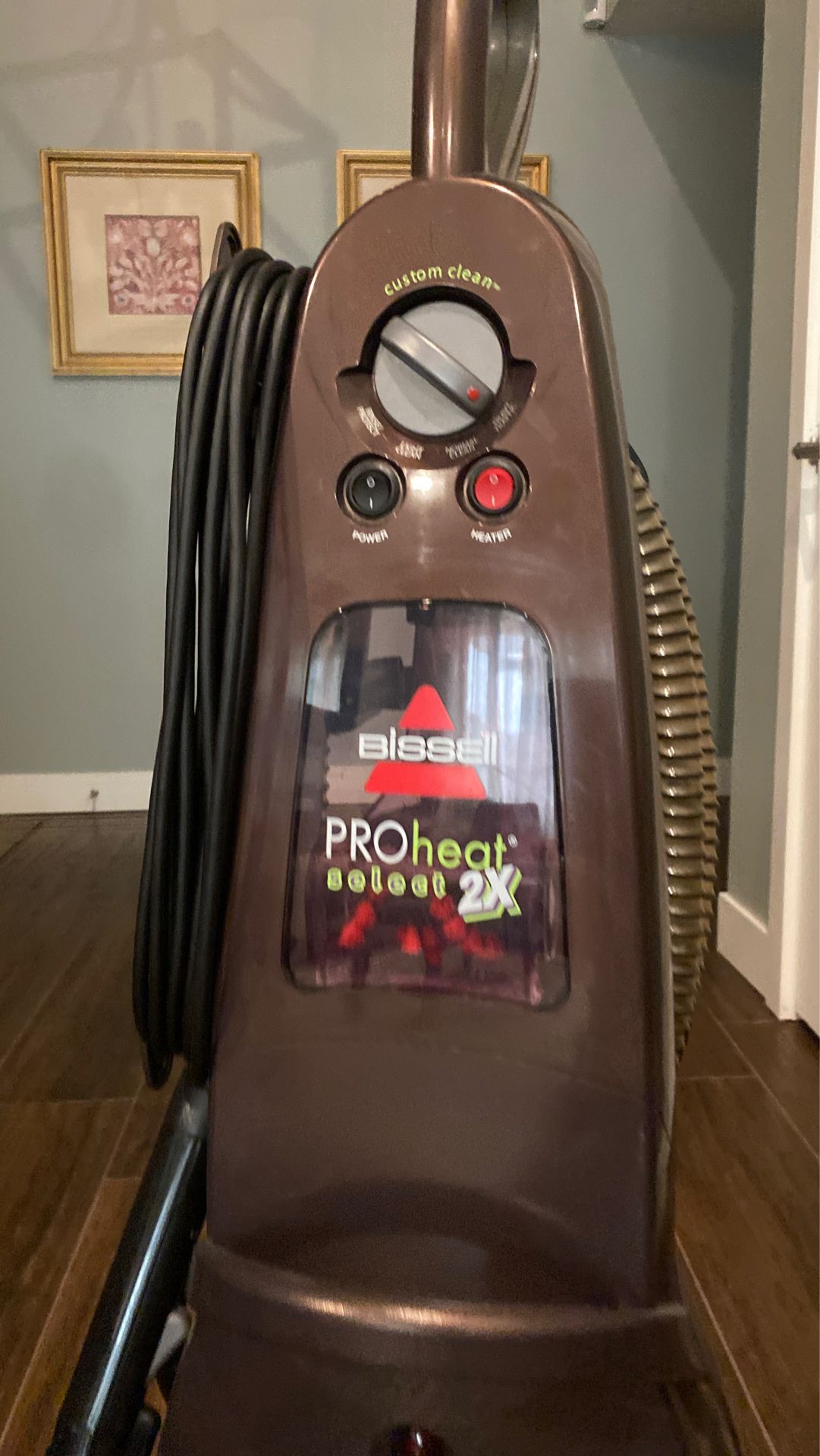 Steam carpet cleaner