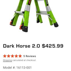 Little Giant Dark Horse 2.0 Ladder