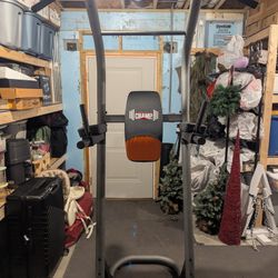 Pull-up and Dip Bar