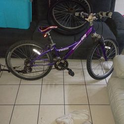 Trek Mountain Track 220 