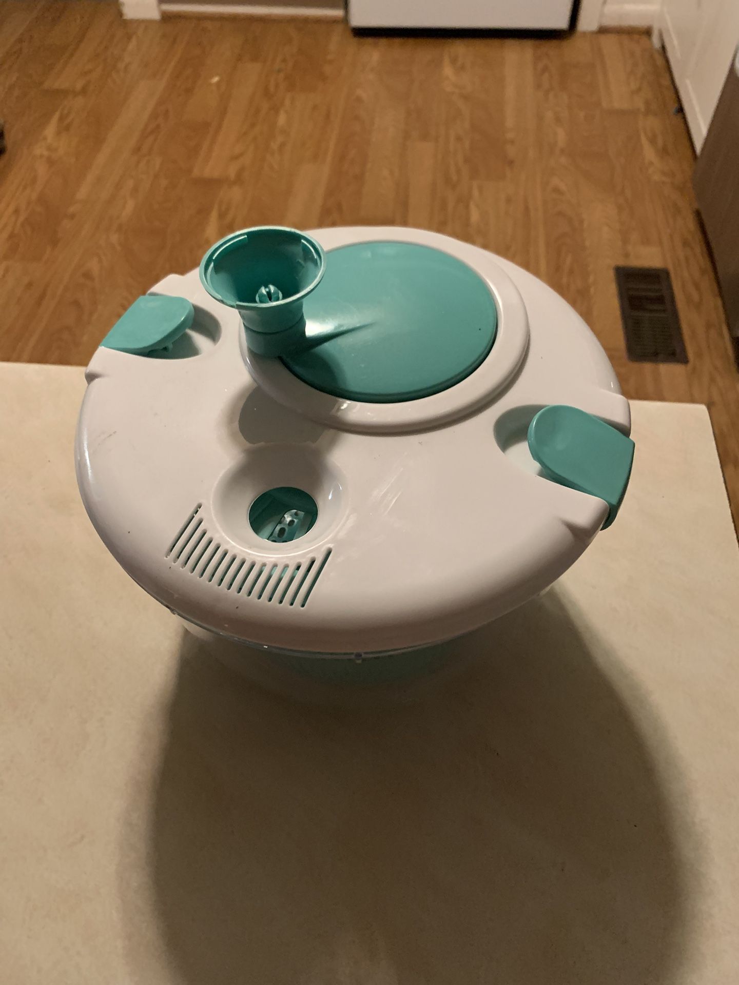 Vegetable Washer