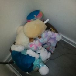 Box Of Stuffed Gently Used Animals 