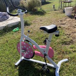 Sunny Exercise Bike 