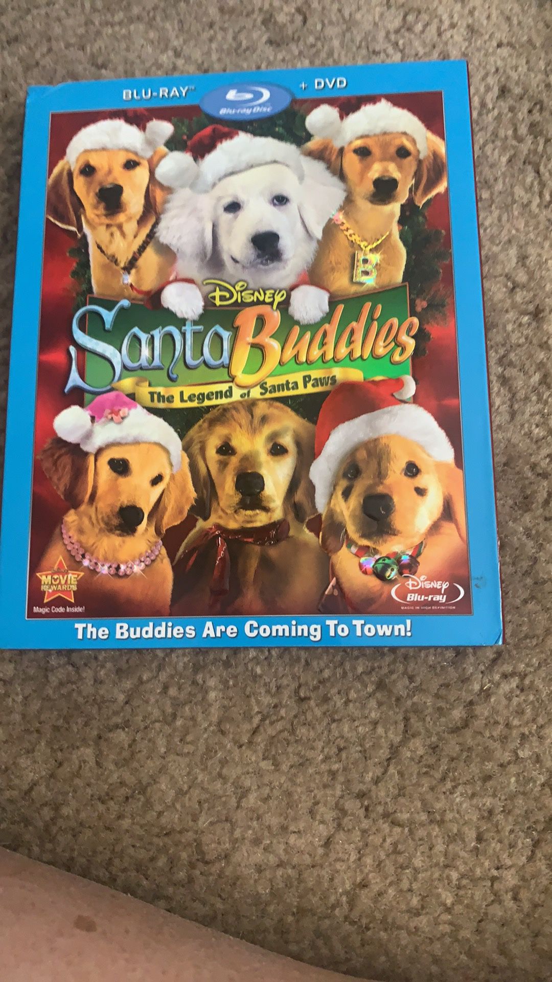 Buddy movies dog 5 of them $10 like new