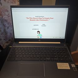 HP Chromebook 15.6 In 