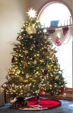 6.5 Christmas Tree (no Lights Or Ornaments)