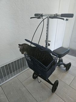 Knee Scooter / walker
