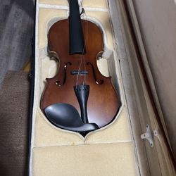 Violin