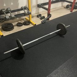Weights (2x24.8lbs and 15lbs Barbell)
