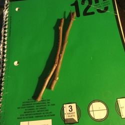 (2) Fuji Apple Tree Cuttings