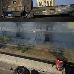 55 Gallon Fish Tank 
