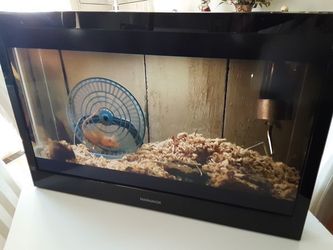 Magnavox 32MF301B/F7 32-Inch LCD HDTV nice garage tv...no base stand...( does Stand without base)....no remote..tv is perfect