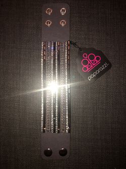 Paparazzi bracelet