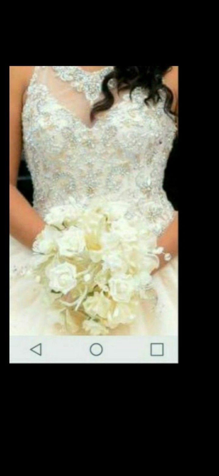 Quinceanera Dress or Bride Dress
