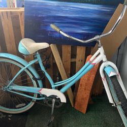 Girl Schwinn Bike 