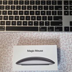 Apple Magic Mouse and Keyboard