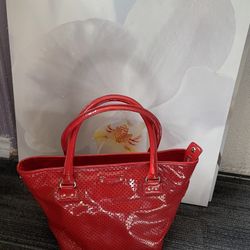 Kate  Spade  Purse 