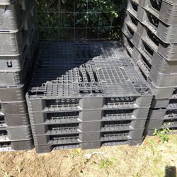 Plastic  pallets -  standard size / good used condition 