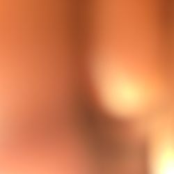 Dinner Set  Moving Sale