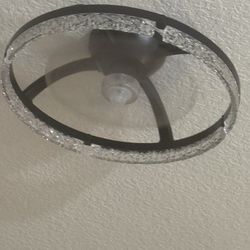 Black Led Light Fan  With Remote