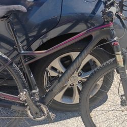 Specialized Fate Expert 29 Full Carbon $1450