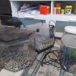 Fish Tanks 