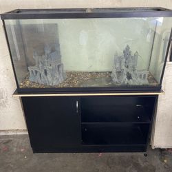 60 gallon fish tank & stand
