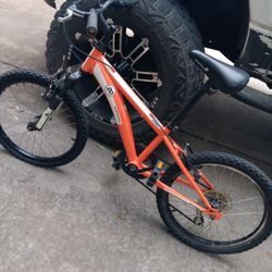 Diamond Back Mountain Bike